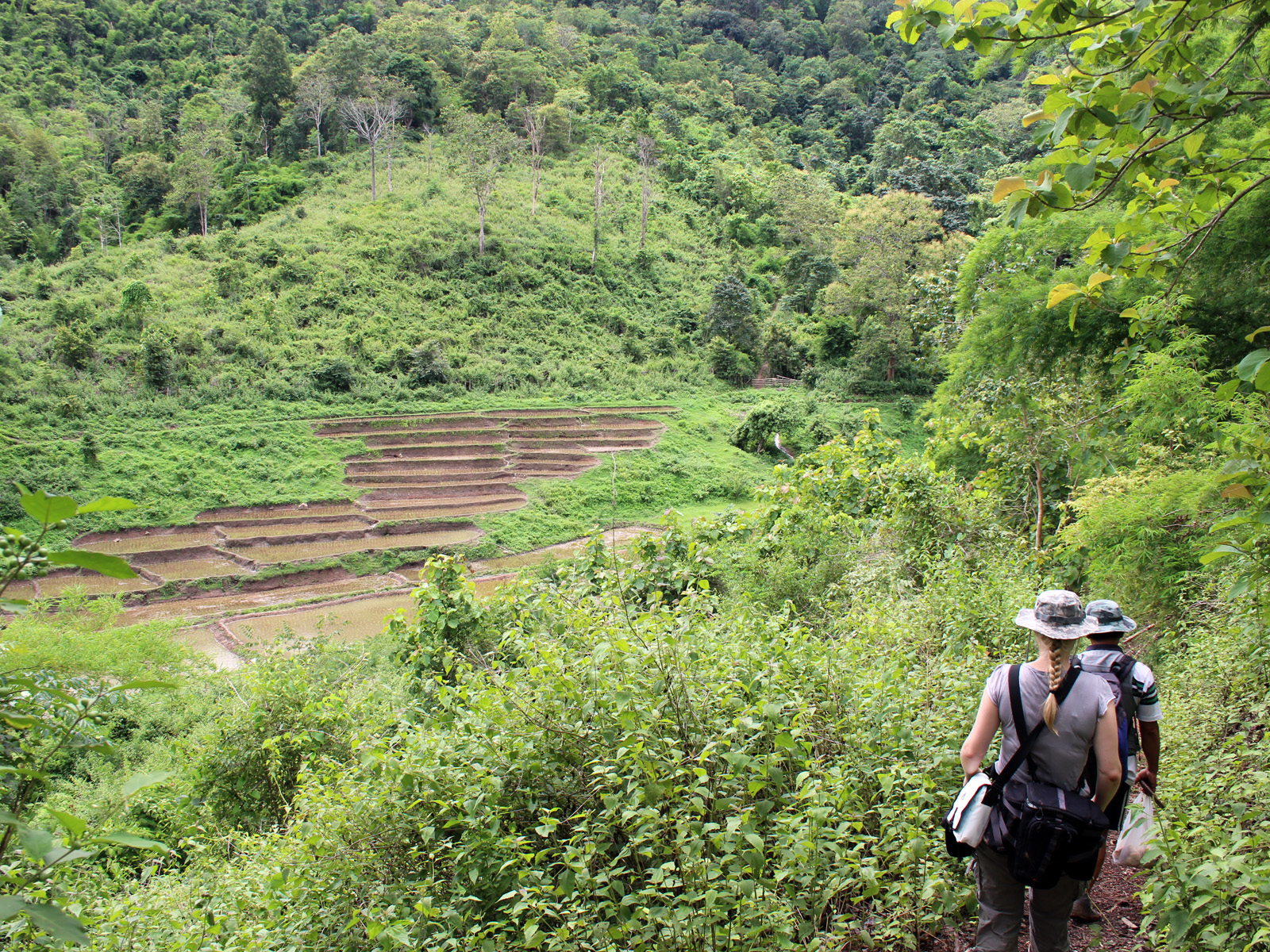 Individual trekking tours | Chiang Mai Trekking | Le meilleur trekking à Chiang Mai avec Piroon Nantaya