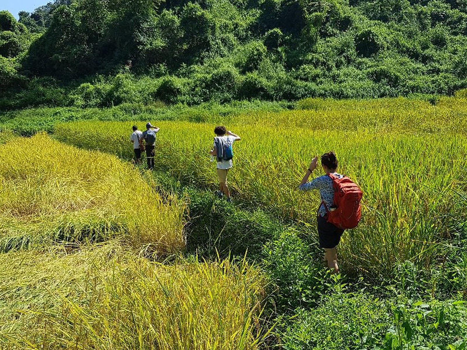 Rafting sur radeau de bamboo | Chiang Mai Trekking | Le meilleur trekking à Chiang Mai avec Piroon Nantaya