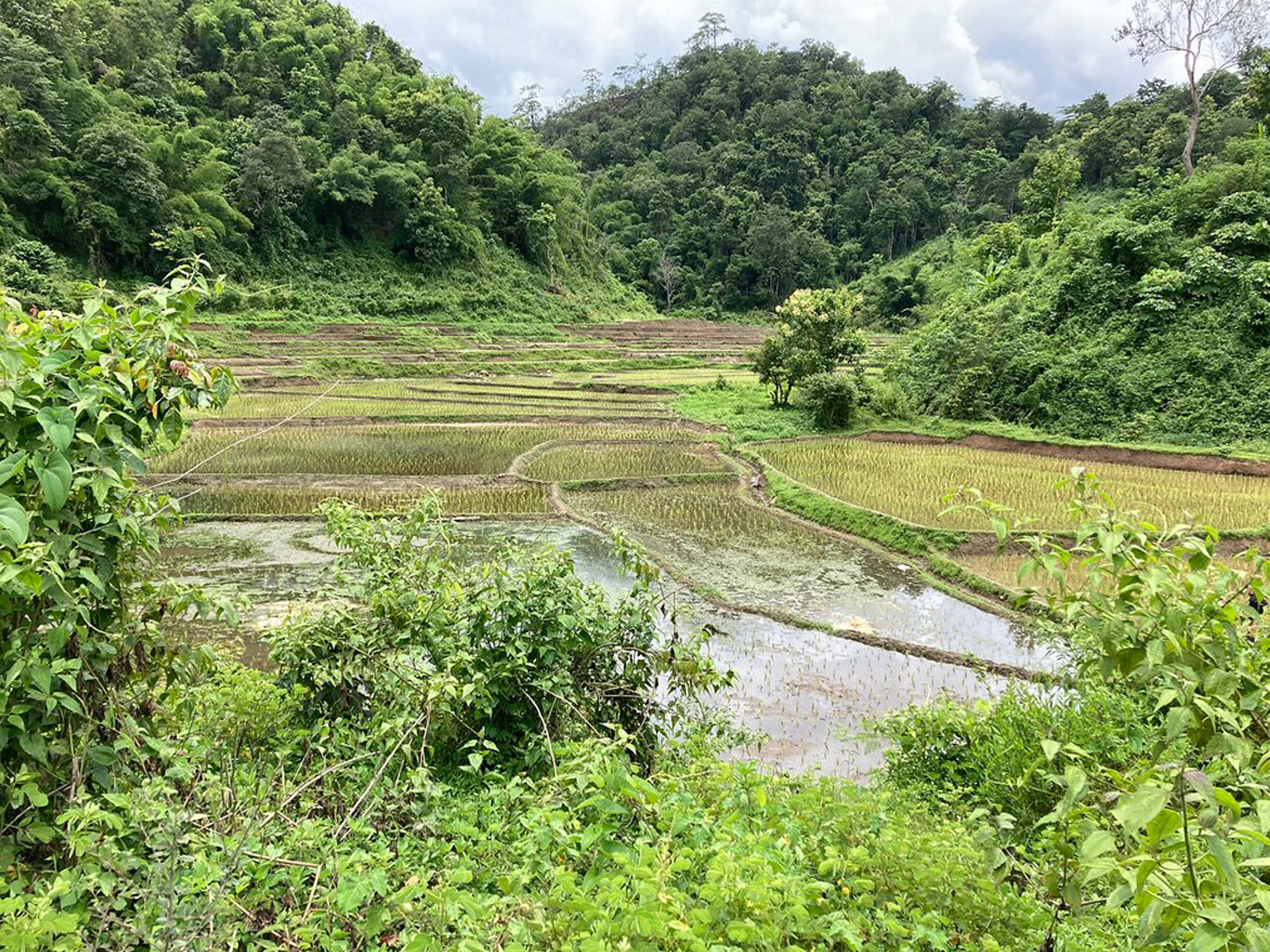 Souvenirs inoubliables | Chiang Mai Trekking | Le meilleur trekking à Chiang Mai avec Piroon Nantaya