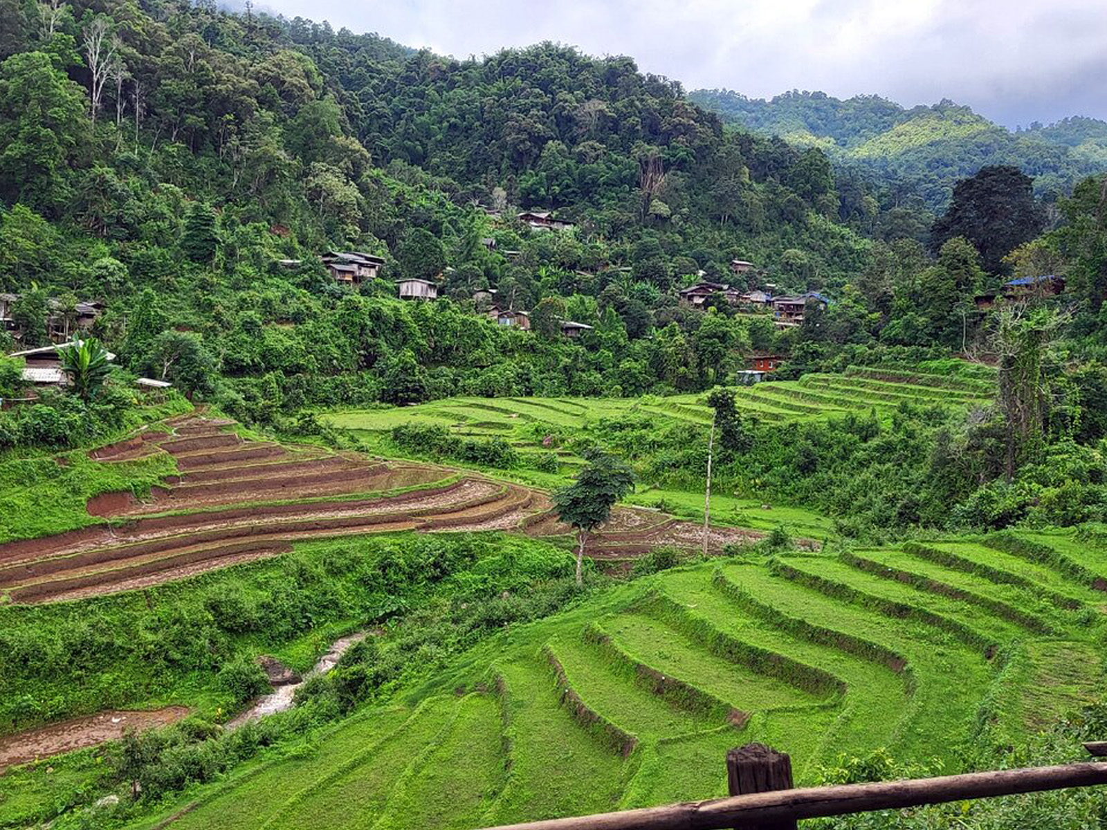 Absolument unique et authentique | Chiang Mai Trekking | Le meilleur trekking à Chiang Mai avec Piroon Nantaya