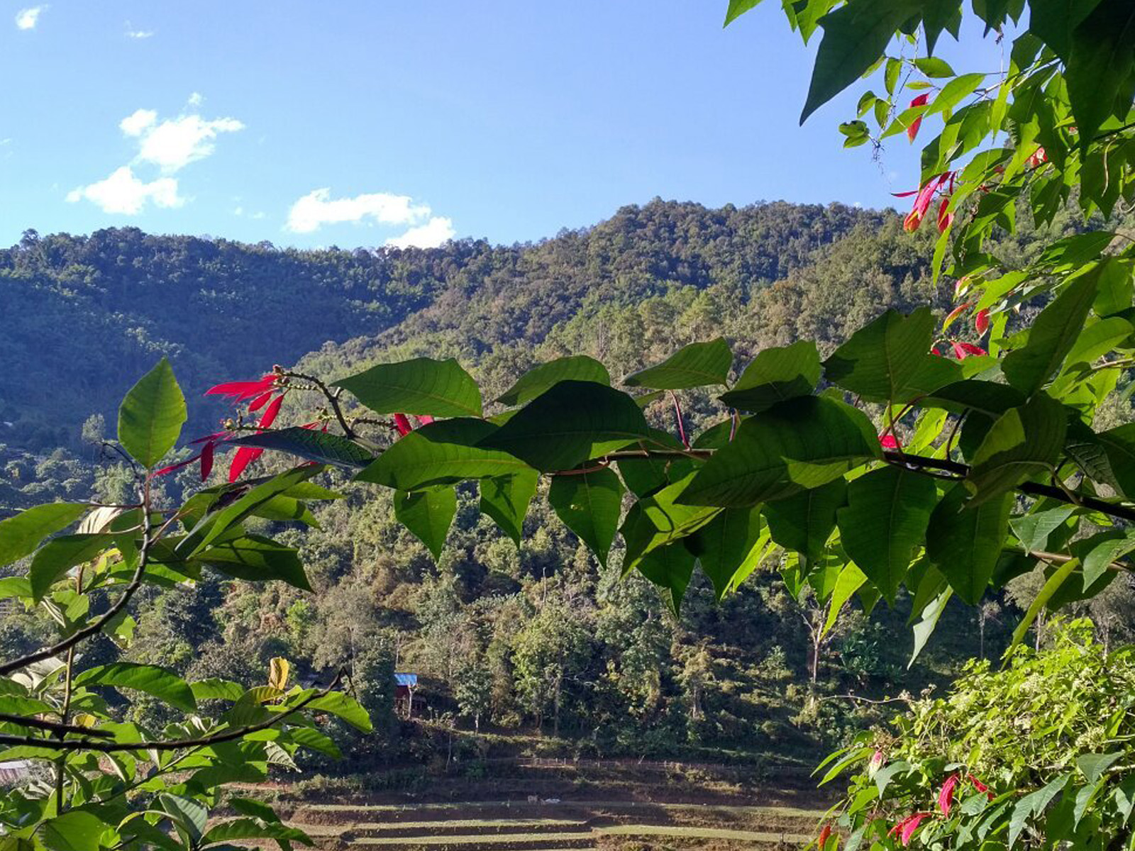 Absolument unique et authentique | Chiang Mai Trekking | Le meilleur trekking à Chiang Mai avec Piroon Nantaya