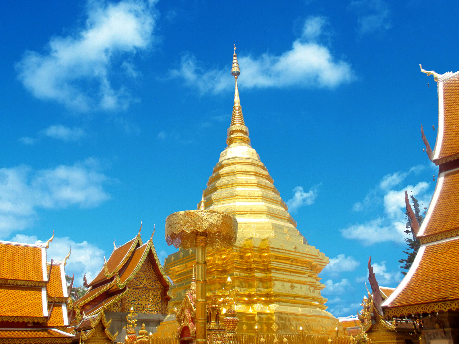 Wat Phra That Doi Suthep | Chiang Mai Trekking | Le meilleur trekking à Chiang Mai avec Piroon Nantaya