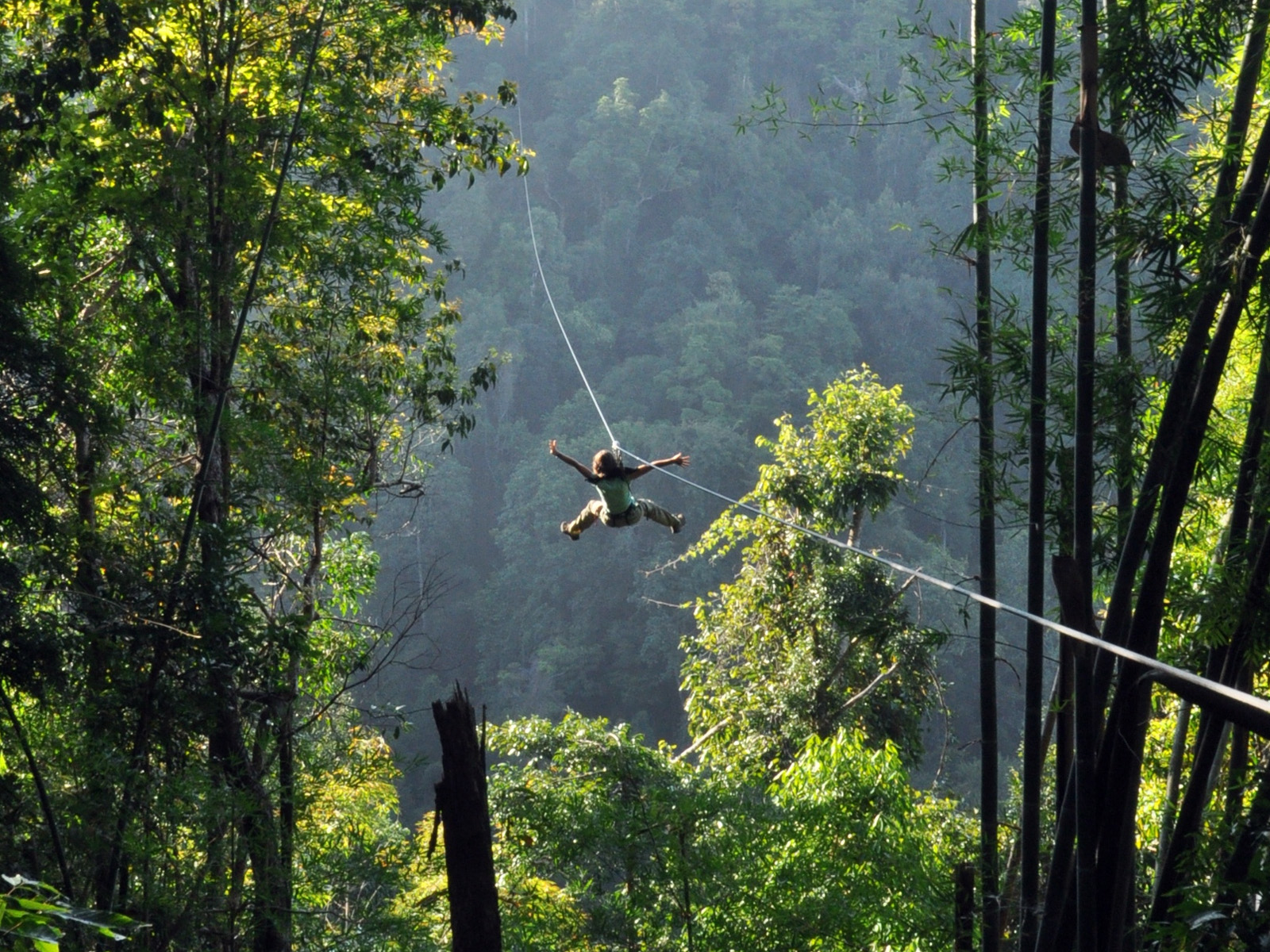 Flight Of The Gibbon | Chiang Mai Trekking | Le meilleur trekking à Chiang Mai avec Piroon Nantaya