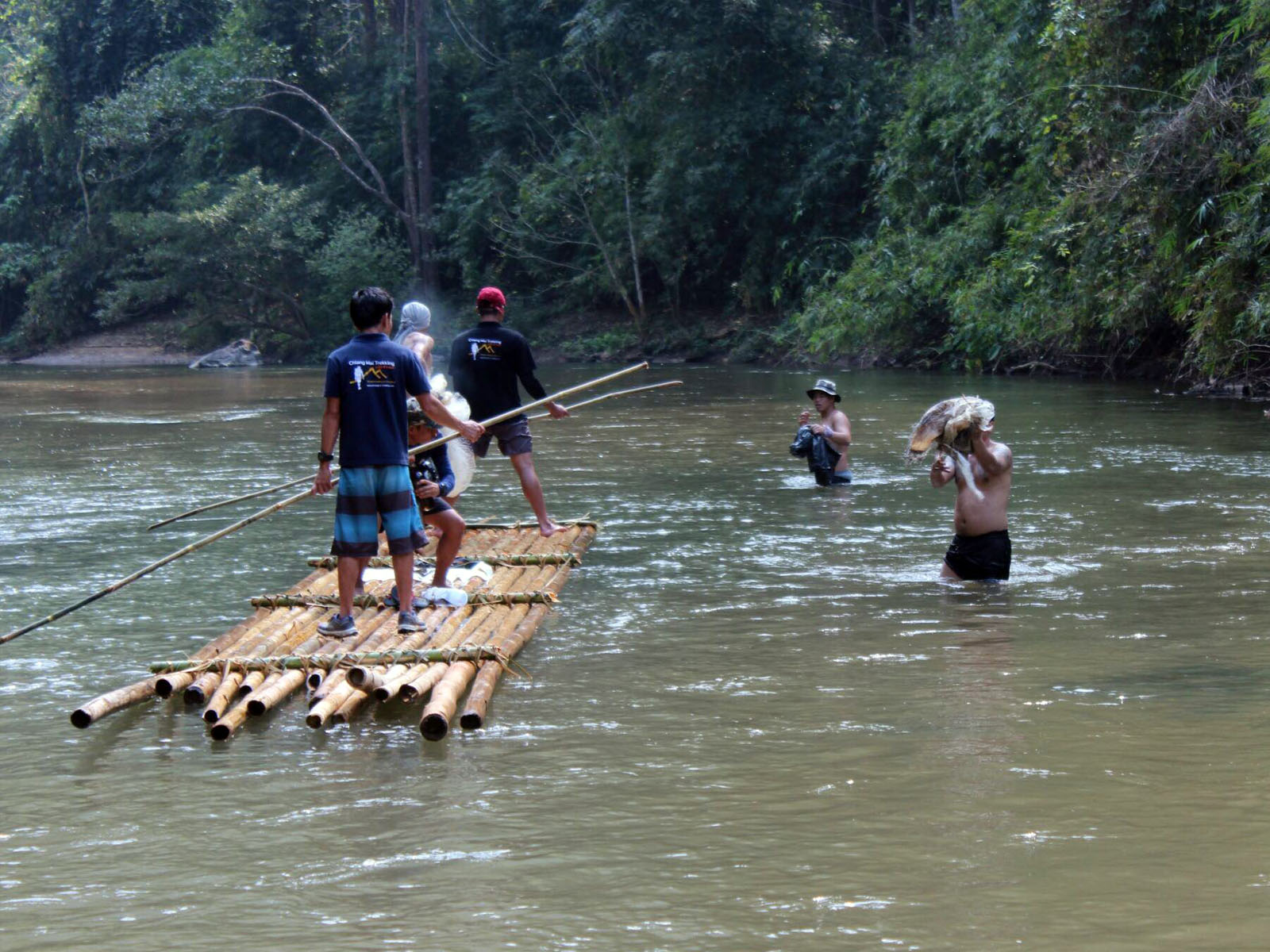 Chiang Mai Trekking - Nettoyer les jungles du nord de la Thaïlande avec nous | Chiang Mai Trekking | Le meilleur trekking à Chiang Mai avec Piroon Nantaya