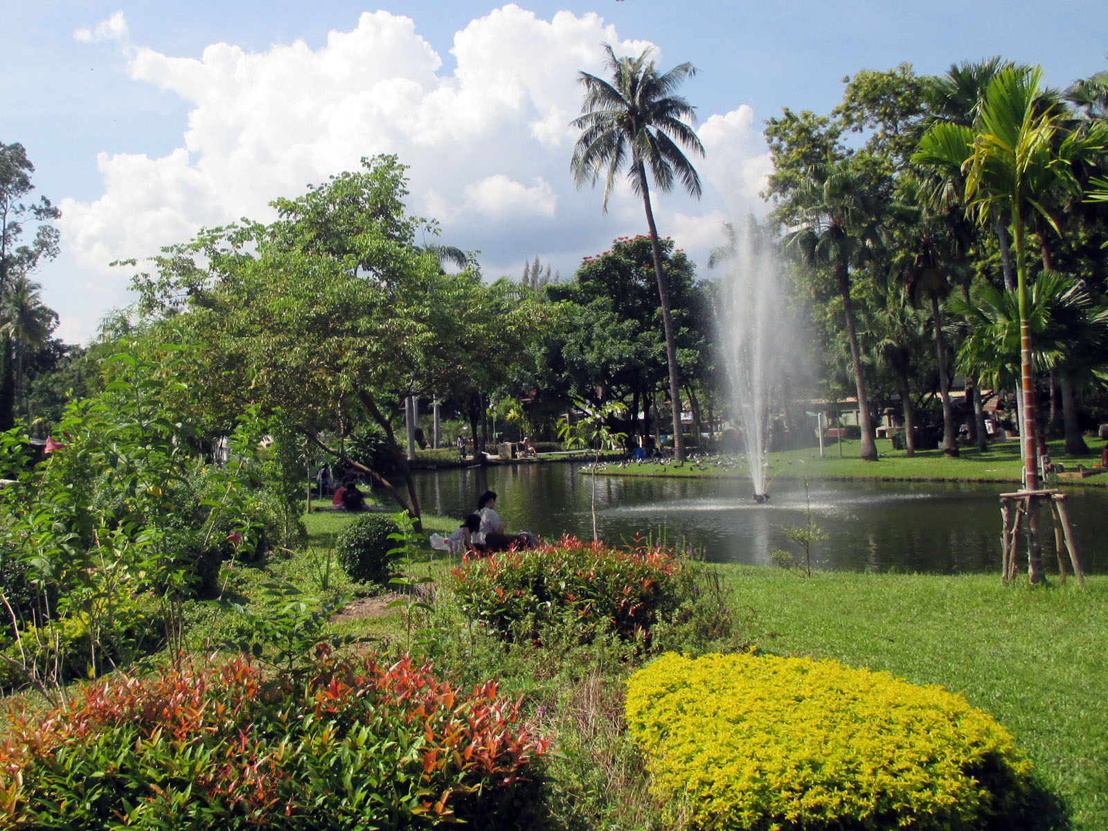 Nong Buak Haad Public Park | Chiang Mai Trekking | Le meilleur trekking à Chiang Mai avec Piroon Nantaya