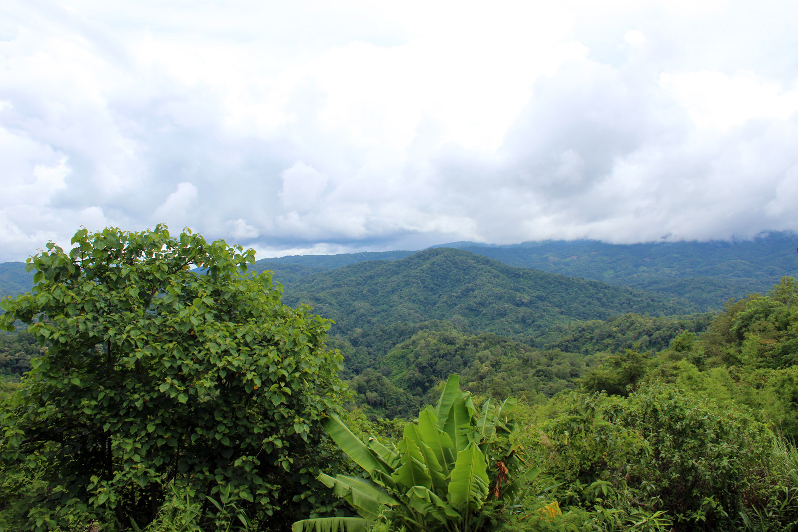 Exp&eacute;rience absolument unique de trekking | Chiang Mai Trekking | Le meilleur trekking &agrave; Chiang Mai avec Piroon Nantaya