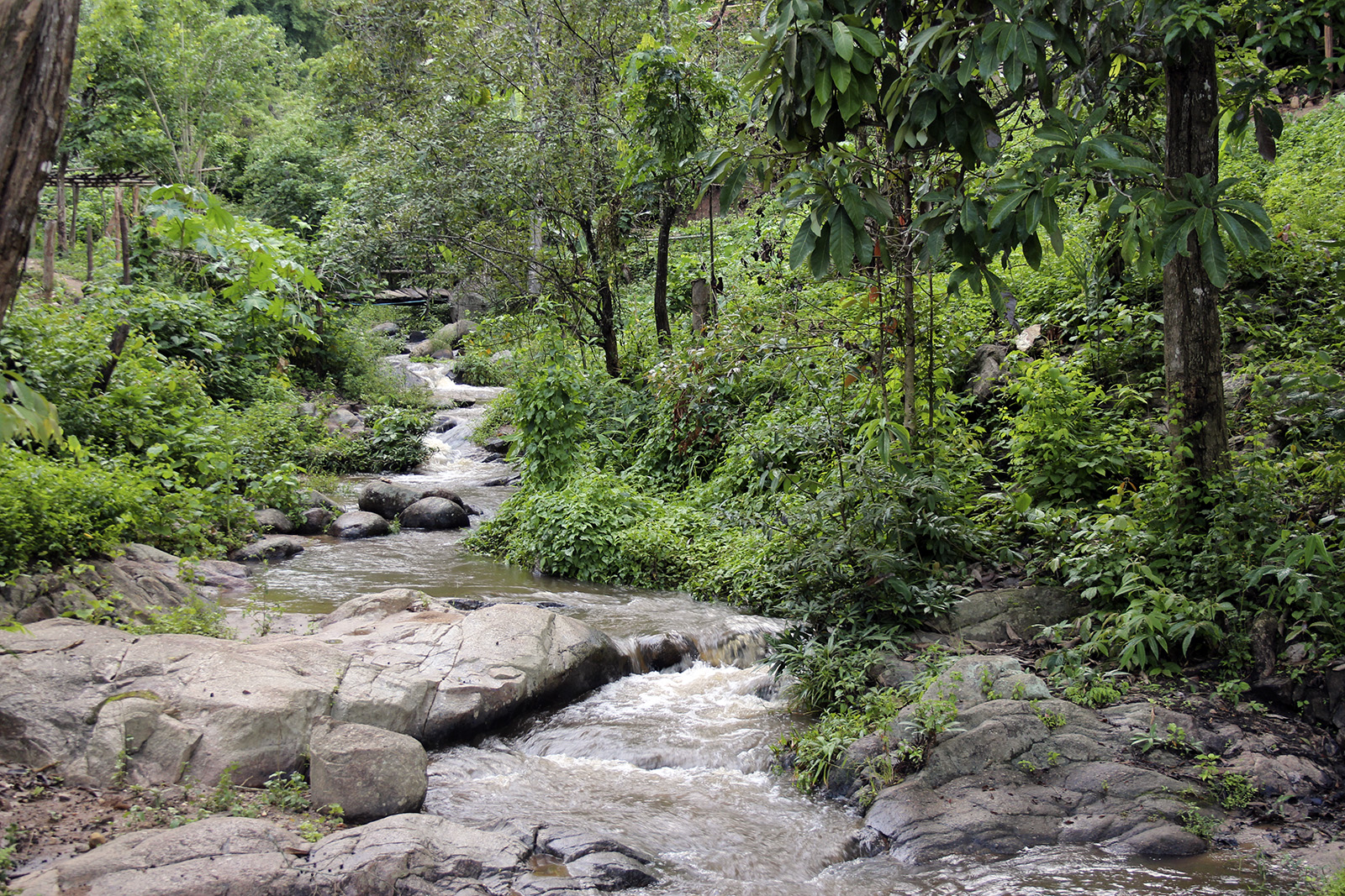 Absolument unique et authentique | Chiang Mai Trekking | Le meilleur trekking à Chiang Mai avec Piroon Nantaya