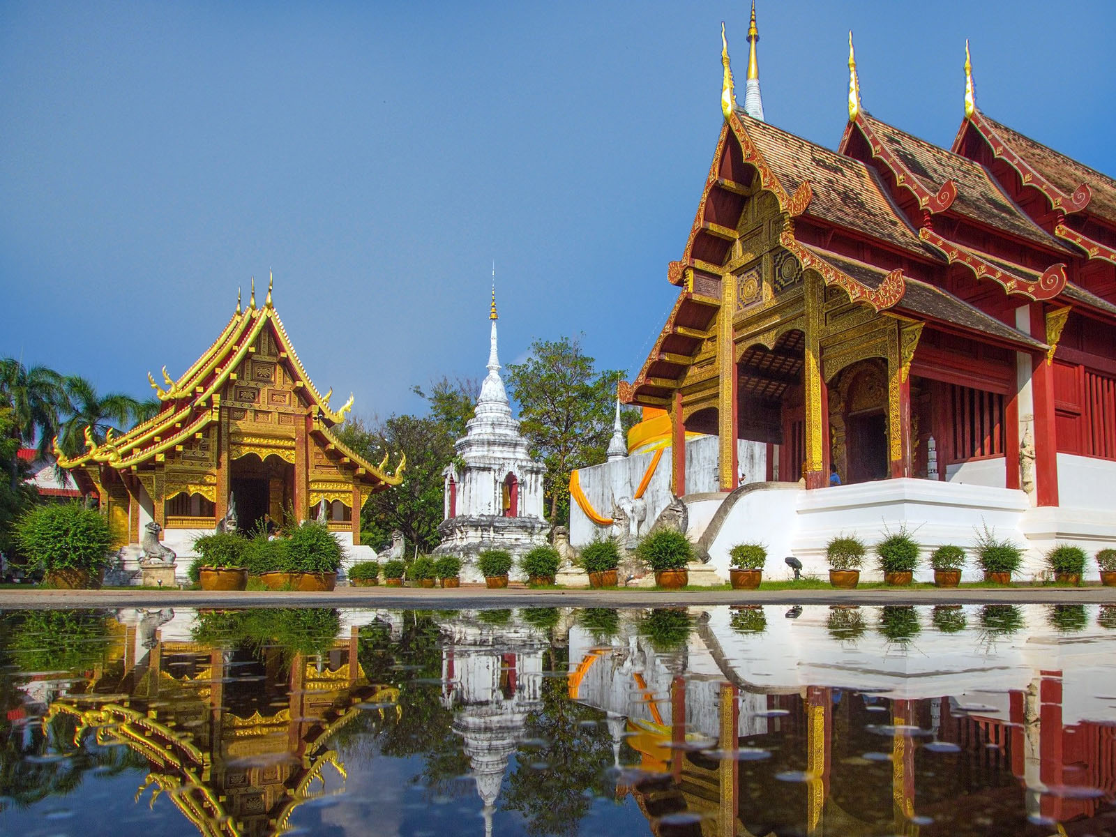 Wat Phra Singh | Chiang Mai Trekking | Le meilleur trekking à Chiang Mai avec Piroon Nantaya