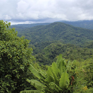 Nature | Chiang Mai Trekking | Le meilleur trekking à Chiang Mai avec Piroon Nantaya