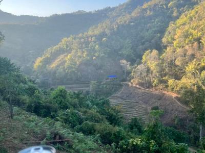 Pauline Delallee and Family | Chiang Mai Trekking | Le meilleur trekking à Chiang Mai avec Piroon Nantaya