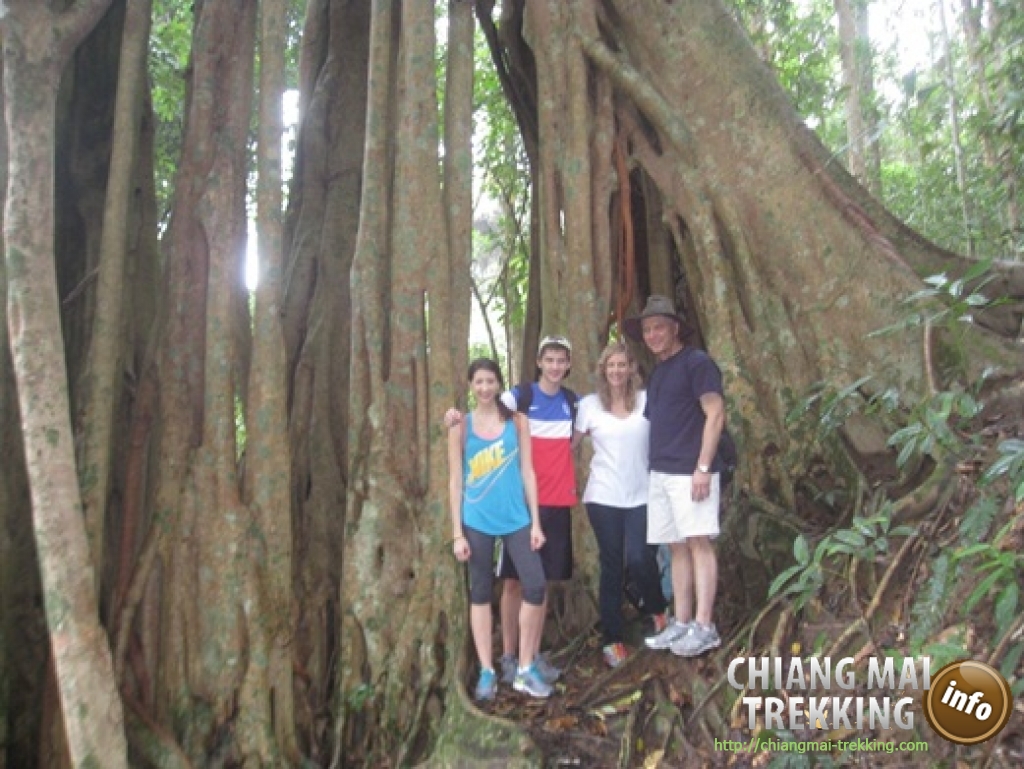 Doi Suthep & Daytrip Trekking | Chiang Mai Trekking | Le meilleur trekking à Chiang Mai avec Piroon Nantaya