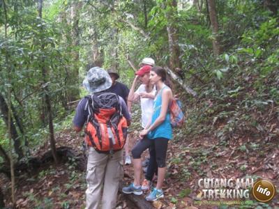 Photos de nos clients | Chiang Mai Trekking | Le meilleur trekking à Chiang Mai avec Piroon Nantaya