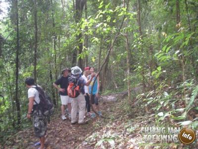 Photos de nos clients | Chiang Mai Trekking | Le meilleur trekking à Chiang Mai avec Piroon Nantaya