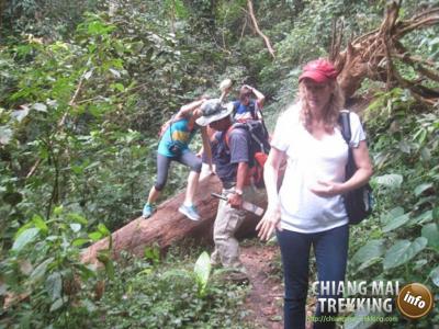 Doi Suthep & Daytrip Trekking | Chiang Mai Trekking | Le meilleur trekking à Chiang Mai avec Piroon Nantaya