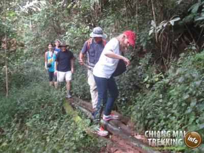 Photos de nos clients | Chiang Mai Trekking | Le meilleur trekking à Chiang Mai avec Piroon Nantaya