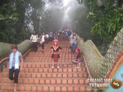 Doi Suthep & Daytrip Trekking | Chiang Mai Trekking | Le meilleur trekking à Chiang Mai avec Piroon Nantaya