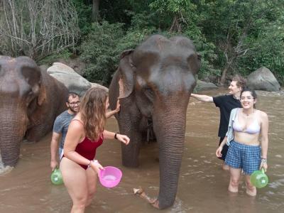 Nicolas, Andreas, Rohan, Yessica | Chiang Mai Trekking | Le meilleur trekking à Chiang Mai avec Piroon Nantaya