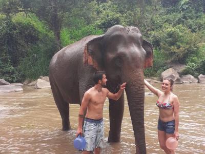 Palmer, Margan, Rebecca, Lea and Jordan group for 2d1n on4-5May 2022 | Chiang Mai Trekking | Le meilleur trekking à Chiang Mai avec Piroon Nantaya