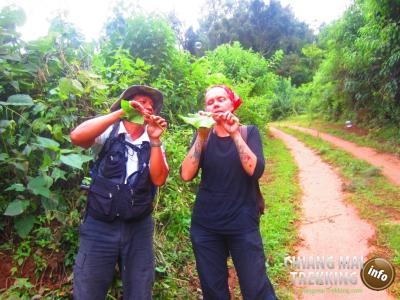 3-days/2-nights Trekking Tour & Daytrip Sightseeing | Chiang Mai Trekking | Le meilleur trekking à Chiang Mai avec Piroon Nantaya
