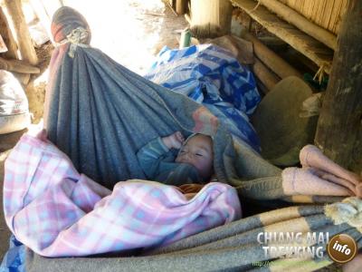 3-days/2-nights Trekking Tour | Chiang Mai Trekking | Le meilleur trekking à Chiang Mai avec Piroon Nantaya