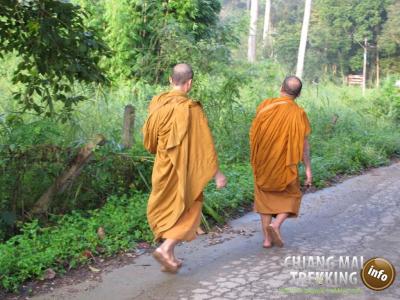 Chiang Dao Cave | Chiang Mai Trekking | Le meilleur trekking à Chiang Mai avec Piroon Nantaya