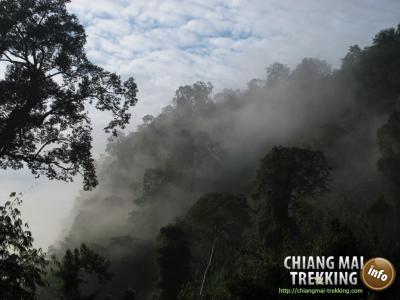 Chiang Dao Cave | Chiang Mai Trekking | Le meilleur trekking à Chiang Mai avec Piroon Nantaya