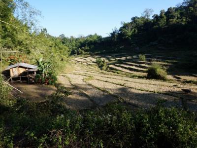 7-days/6-nights Trekking Tour | Chiang Mai Trekking | Le meilleur trekking à Chiang Mai avec Piroon Nantaya