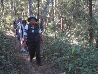 3-days/2-nights Trekking Tour | Chiang Mai Trekking | Le meilleur trekking à Chiang Mai avec Piroon Nantaya