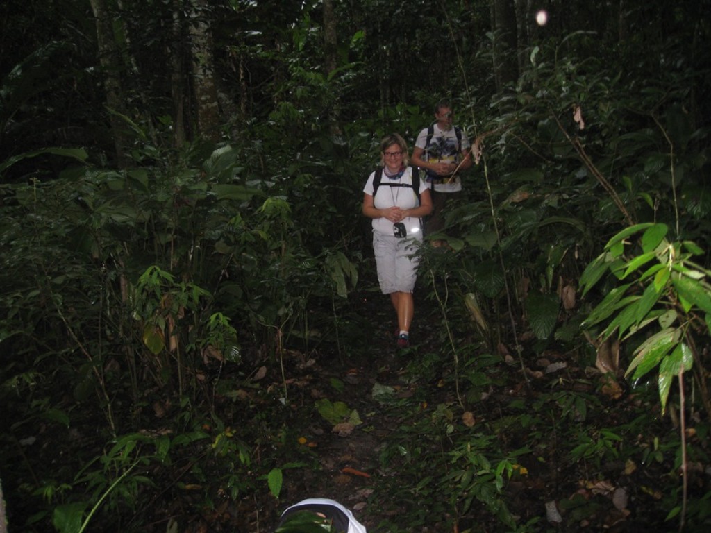 Daytrip Trekking Tour | Chiang Mai Trekking | Le meilleur trekking &agrave; Chiang Mai avec Piroon Nantaya