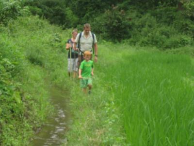 Daytrip Trekking Tour | Chiang Mai Trekking | Le meilleur trekking à Chiang Mai avec Piroon Nantaya