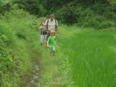 Daytrip Trekking Tour | Chiang Mai Trekking | Le meilleur trekking à Chiang Mai avec Piroon Nantaya