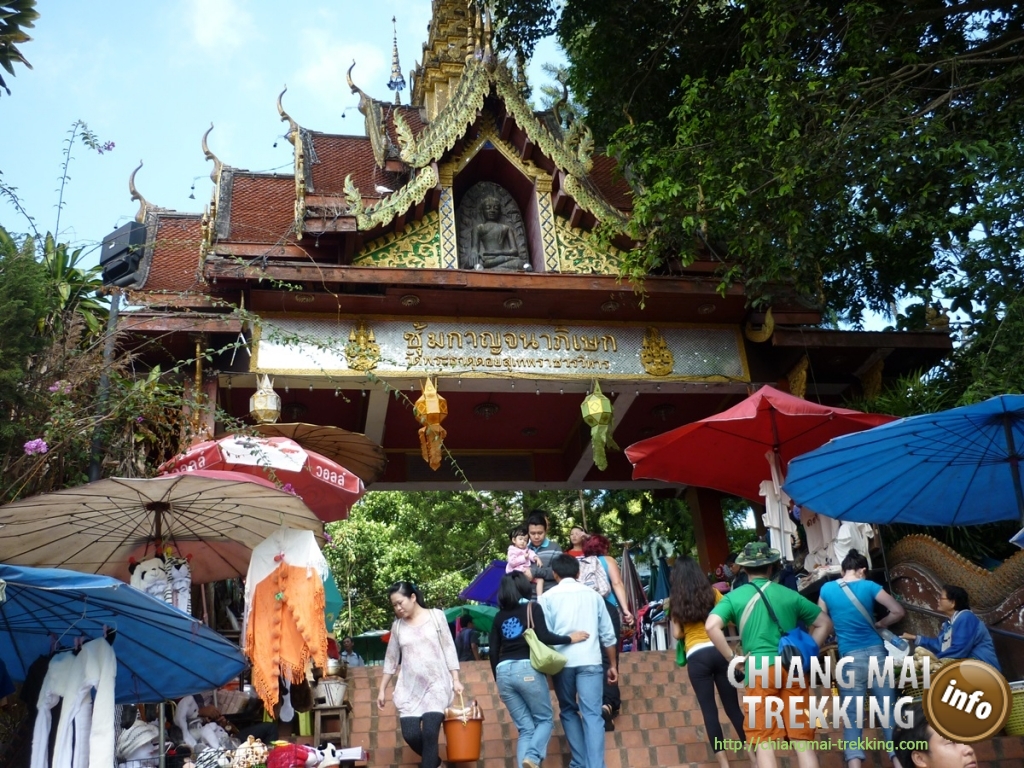 Doi Suthep, Doi Pui & local market | Chiang Mai Trekking | Le meilleur trekking &agrave; Chiang Mai avec Piroon Nantaya
