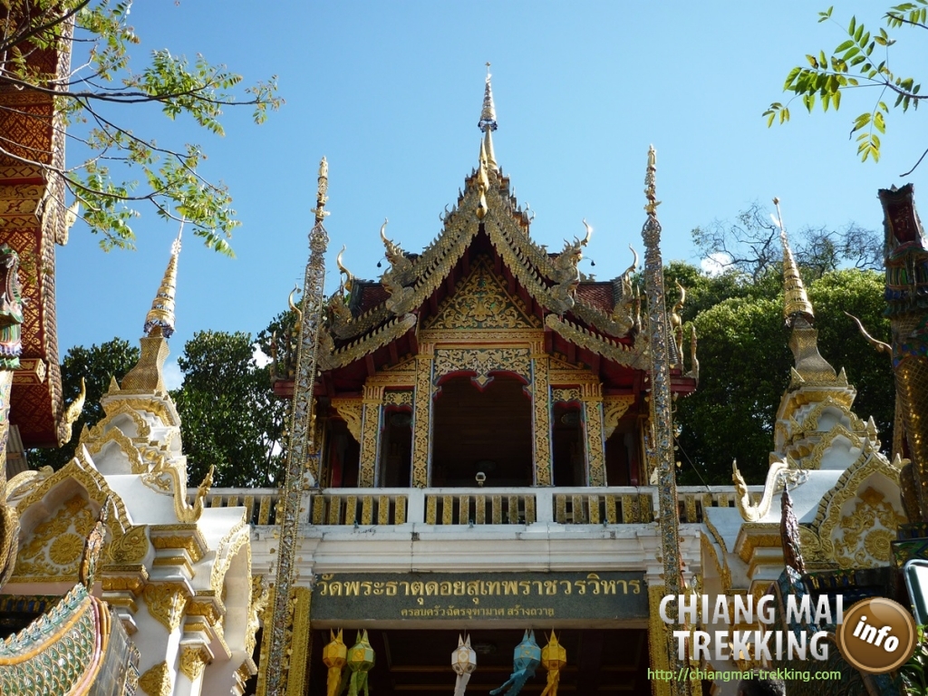 Doi Suthep, Doi Pui & local market | Chiang Mai Trekking | Le meilleur trekking à Chiang Mai avec Piroon Nantaya