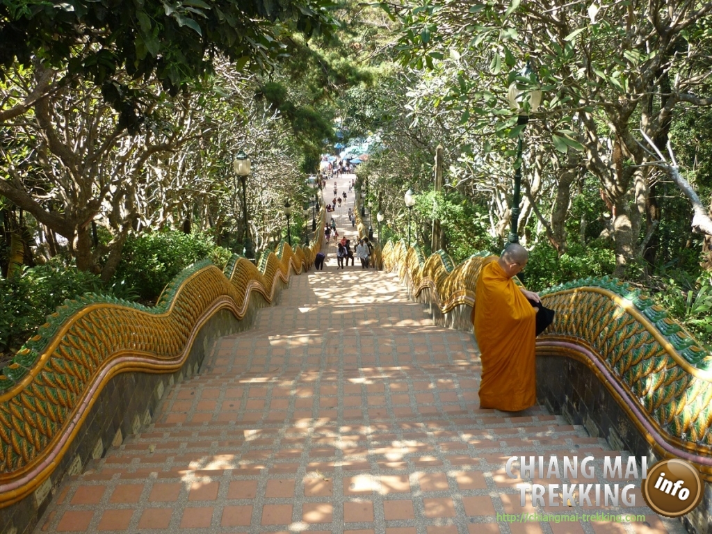 Doi Suthep, Doi Pui & local market | Chiang Mai Trekking | Le meilleur trekking à Chiang Mai avec Piroon Nantaya