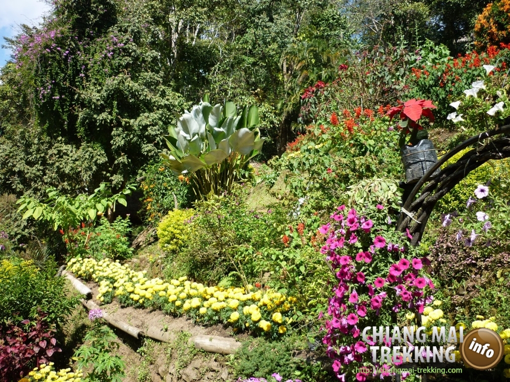Doi Suthep, Doi Pui & local market | Chiang Mai Trekking | Le meilleur trekking &agrave; Chiang Mai avec Piroon Nantaya