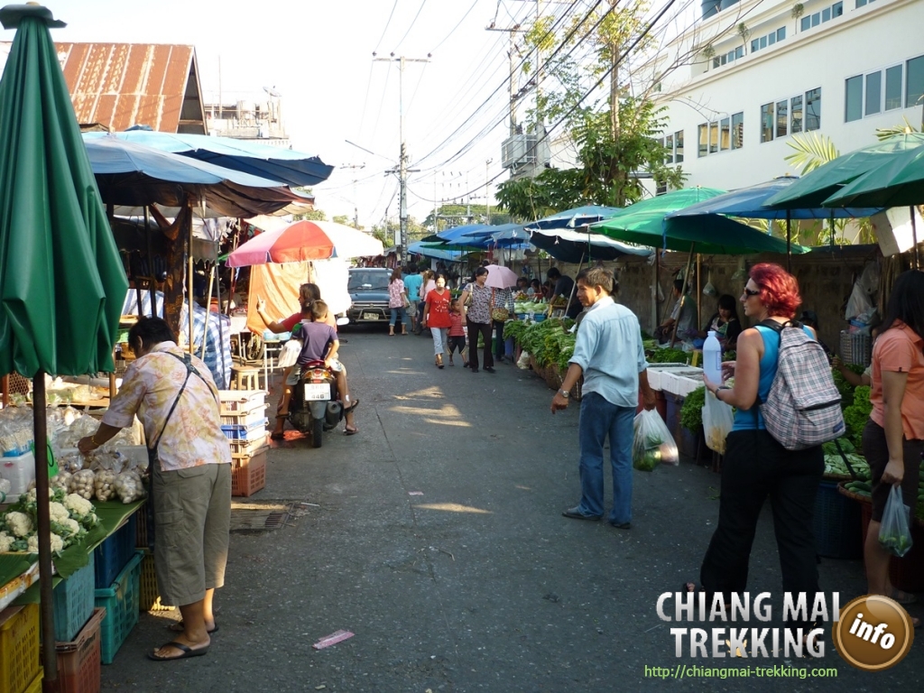 Doi Suthep, Doi Pui & local market | Chiang Mai Trekking | Le meilleur trekking &agrave; Chiang Mai avec Piroon Nantaya