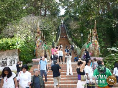 Photos de nos clients | Chiang Mai Trekking | Le meilleur trekking à Chiang Mai avec Piroon Nantaya