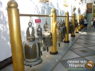 Photos de nos clients | Chiang Mai Trekking | Le meilleur trekking à Chiang Mai avec Piroon Nantaya