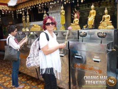 Doi Suthep, Doi Pui & local market | Chiang Mai Trekking | Le meilleur trekking à Chiang Mai avec Piroon Nantaya