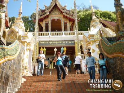 Photos de nos clients | Chiang Mai Trekking | Le meilleur trekking à Chiang Mai avec Piroon Nantaya