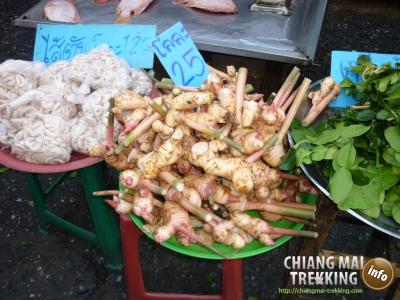 Doi Suthep, Doi Pui & local market | Chiang Mai Trekking | Le meilleur trekking à Chiang Mai avec Piroon Nantaya