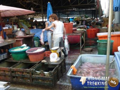 Doi Suthep, Doi Pui & local market | Chiang Mai Trekking | Le meilleur trekking à Chiang Mai avec Piroon Nantaya