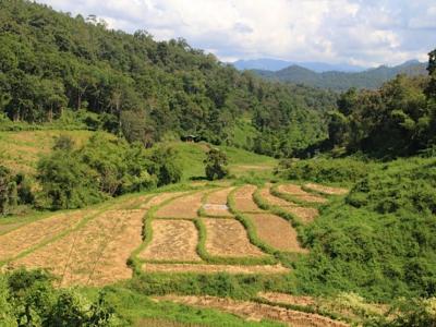 3-days/2-nights Trekking Tour | Chiang Mai Trekking | Le meilleur trekking à Chiang Mai avec Piroon Nantaya