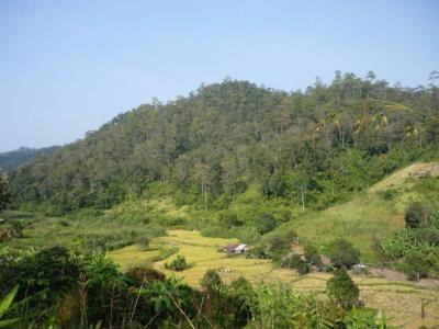 3-days/2-nights Trekking Tour | Chiang Mai Trekking | Le meilleur trekking à Chiang Mai avec Piroon Nantaya