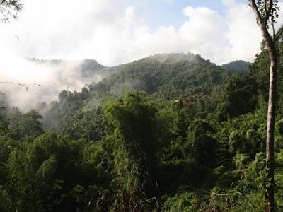 Photos de nos clients | Chiang Mai Trekking | Le meilleur trekking à Chiang Mai avec Piroon Nantaya