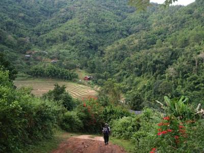 3-days/2-nights Trekking Tour | Chiang Mai Trekking | Le meilleur trekking à Chiang Mai avec Piroon Nantaya