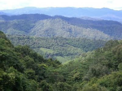 Photos de nos clients | Chiang Mai Trekking | Le meilleur trekking à Chiang Mai avec Piroon Nantaya