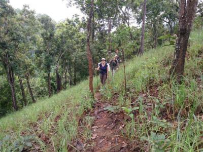 Daytrip Trekking Tour | Chiang Mai Trekking | Le meilleur trekking à Chiang Mai avec Piroon Nantaya