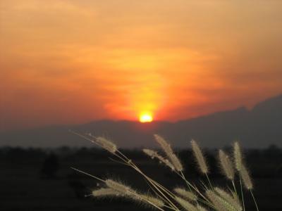 Photos de nos clients | Chiang Mai Trekking | Le meilleur trekking à Chiang Mai avec Piroon Nantaya