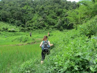 3-days/2-nights Trekking Tour | Chiang Mai Trekking | Le meilleur trekking à Chiang Mai avec Piroon Nantaya